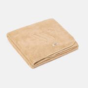 909-10-PLI-M-127-E_detail - Copy